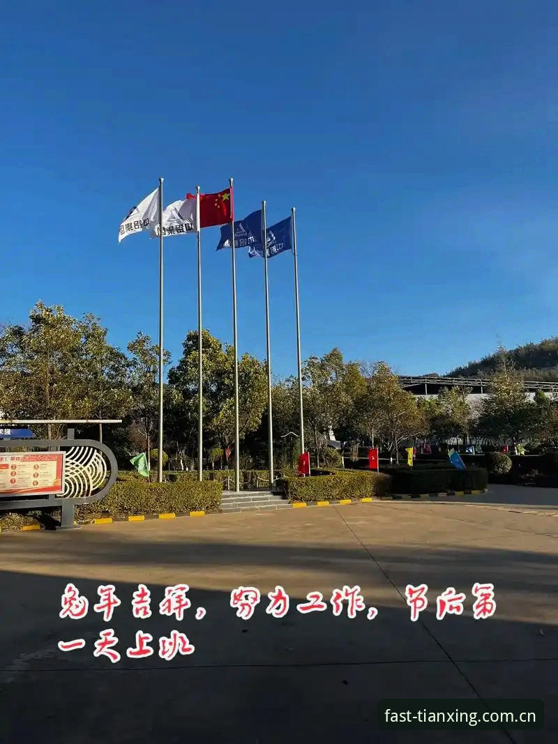 天行体育官网入口与苹果版下载最新版：一份亲历者的实用指南